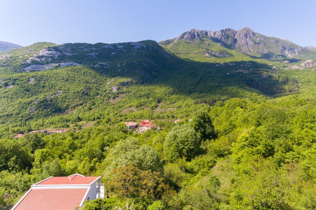 Whitehouse Villa Virpazar Exteriér fotografie